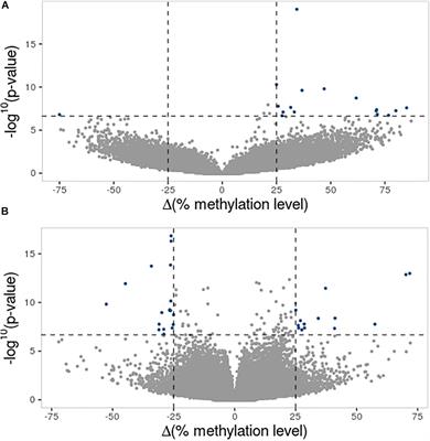 Epigenetics and Early Life Stress: Experimental Brood Size Affects DNA Methylation in Great Tits (Parus major)